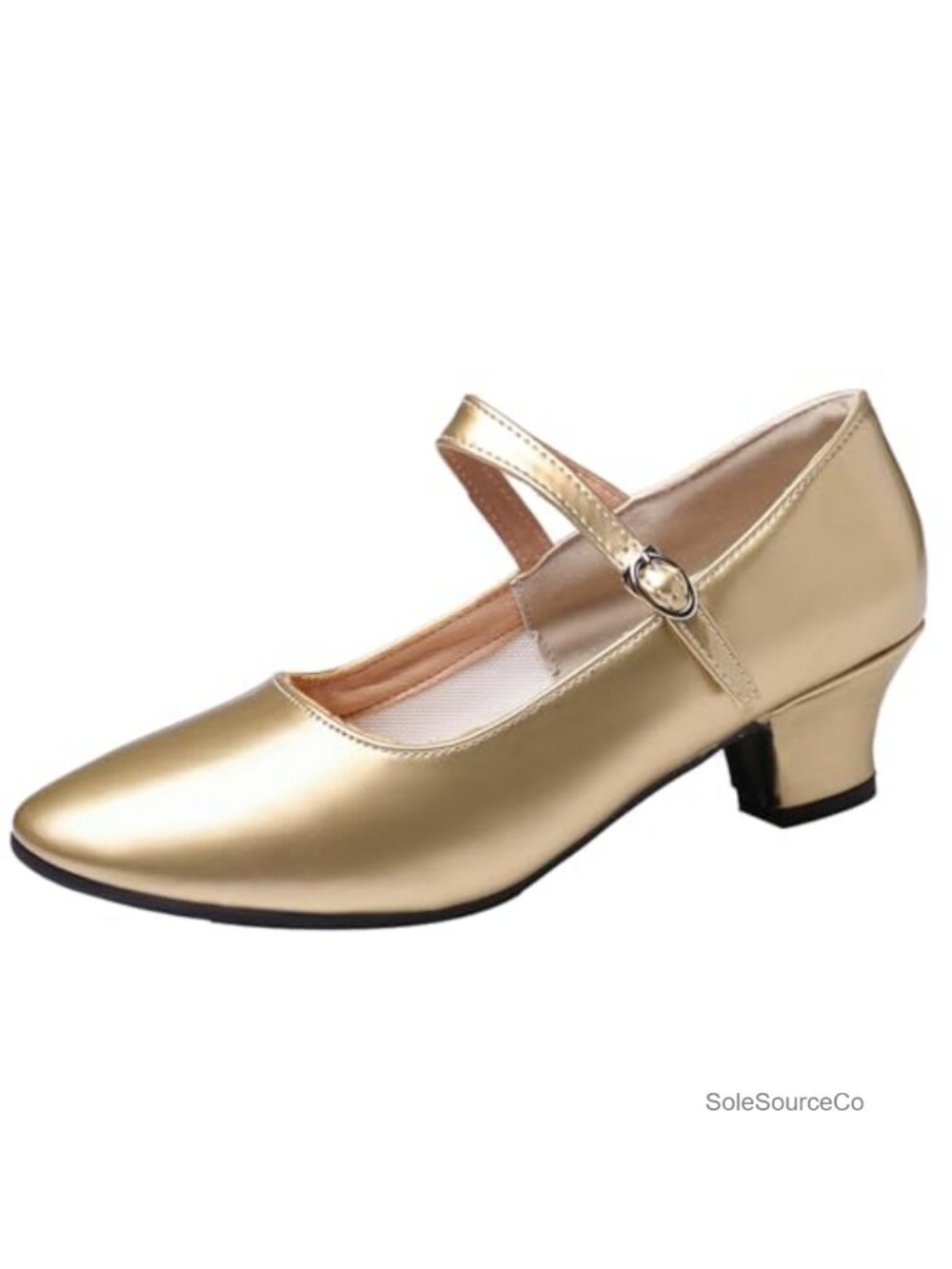 Women's Latin Ballroom Dance Shoes Pointed Toe Ankle Strap Mid Heel Mary Jane